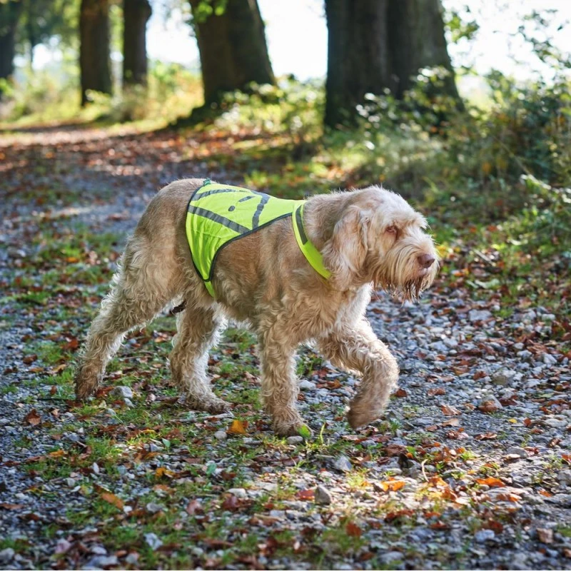 Hunter Refleksvest L